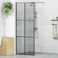 Walk-in Duschwand Schwarz 80 x 195 cm Gehärtetes Glas
