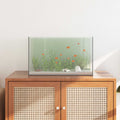 Aquarium mit Speicher Transparent 50 x 30 x 30 cm Glas