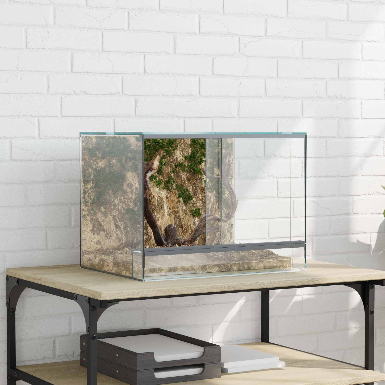 Terrarium mit Speicher Transparent 40 x 30 x 30 cm Glas