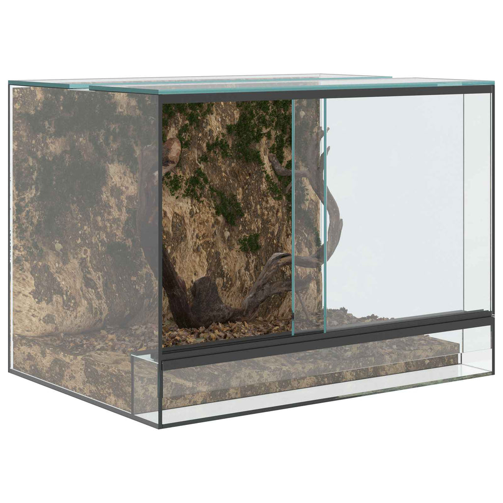 Terrarium mit Speicher Transparent 40 x 30 x 30 cm Glas