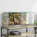 Terrarium mit Speicher Transparent 80 x 40 x 40 cm Glas