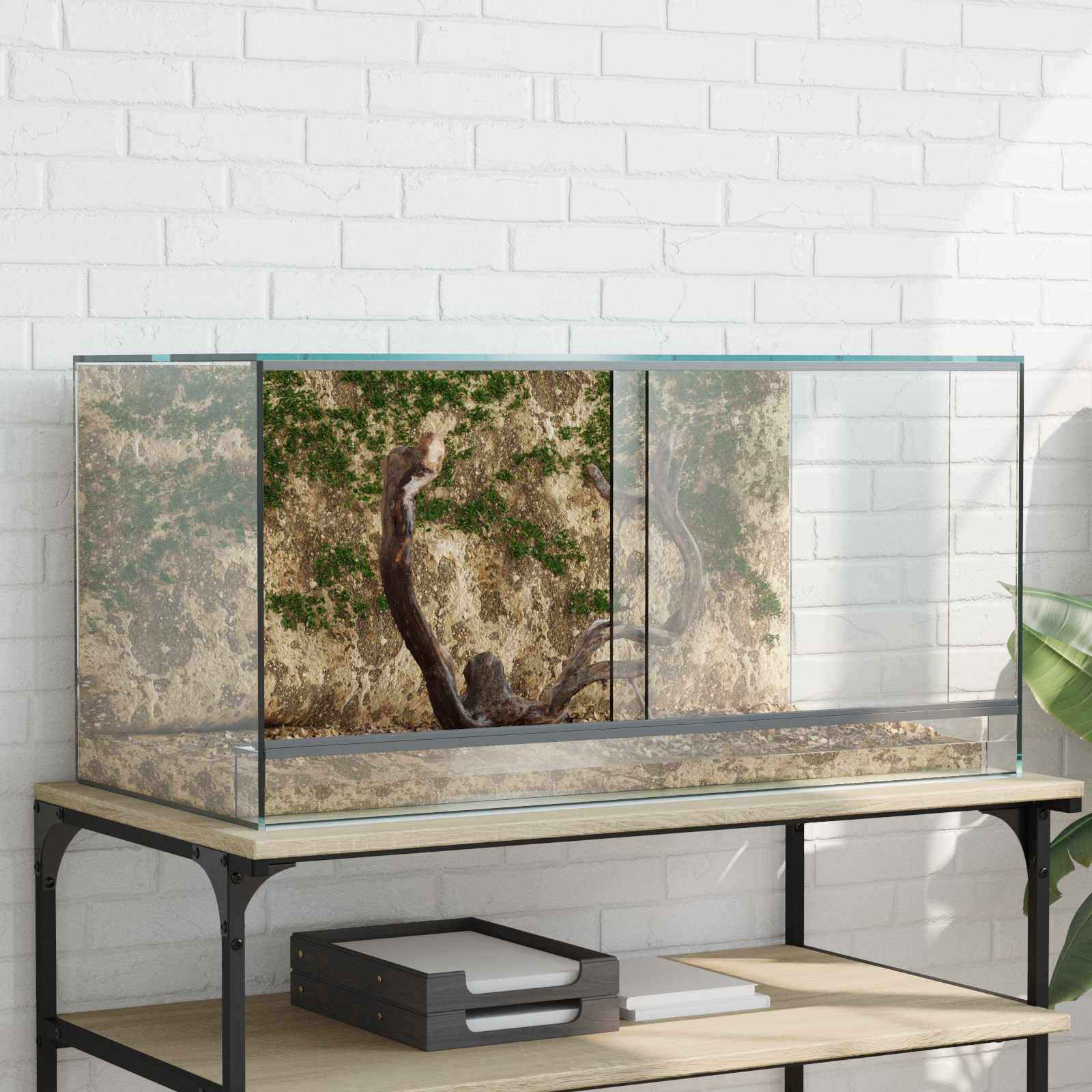 Terrarium mit Speicher Transparent 80 x 40 x 40 cm Glas