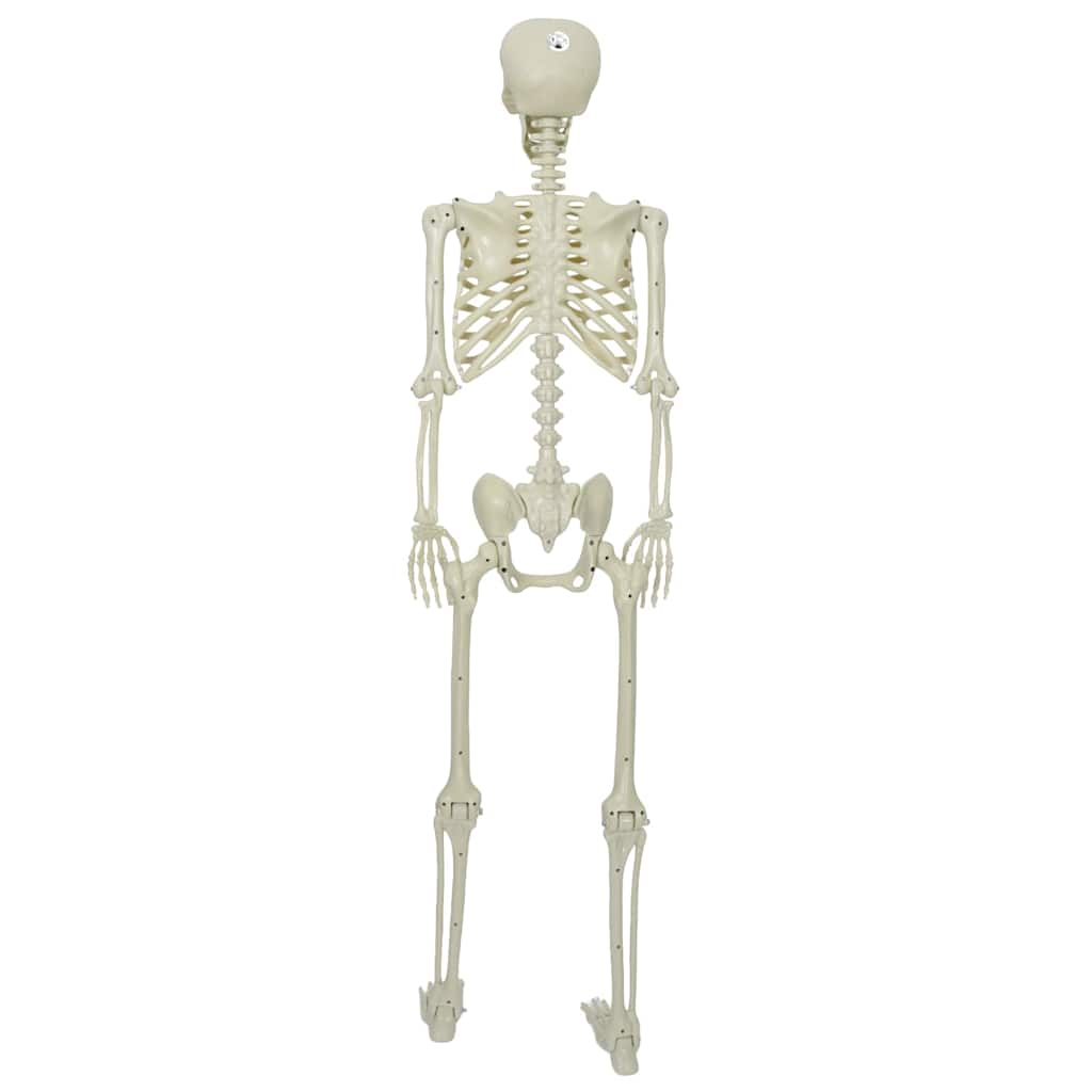 Halloween Skelett Weiß 155 x 38,5 cm Polypropylen