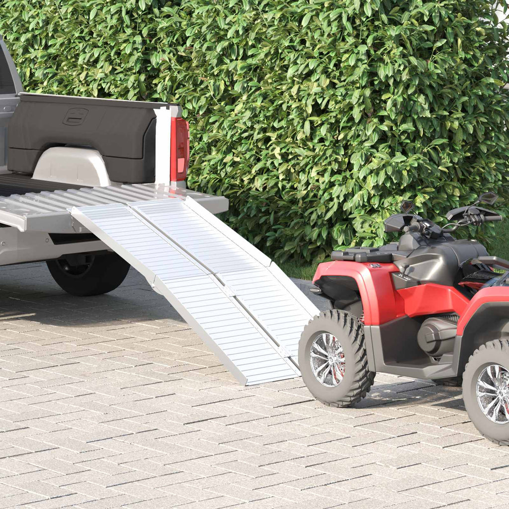 Rampe für Rollstühle 270 kg Silber 270 kg Aluminium