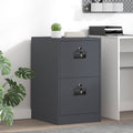 Aktenschrank Anthrazit 44 x 50 x 74,5 cm Kaltgewalzter Stahl