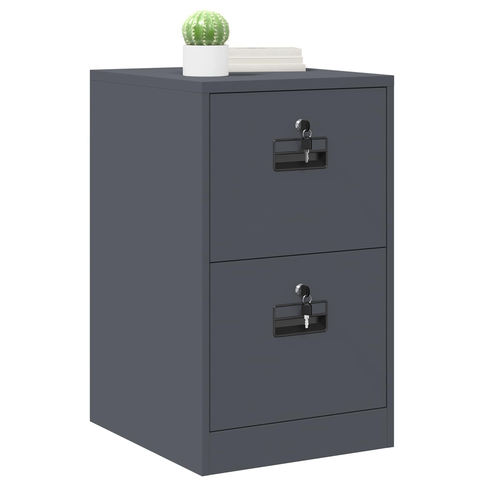 Aktenschrank Anthrazit 44 x 50 x 74,5 cm Kaltgewalzter Stahl
