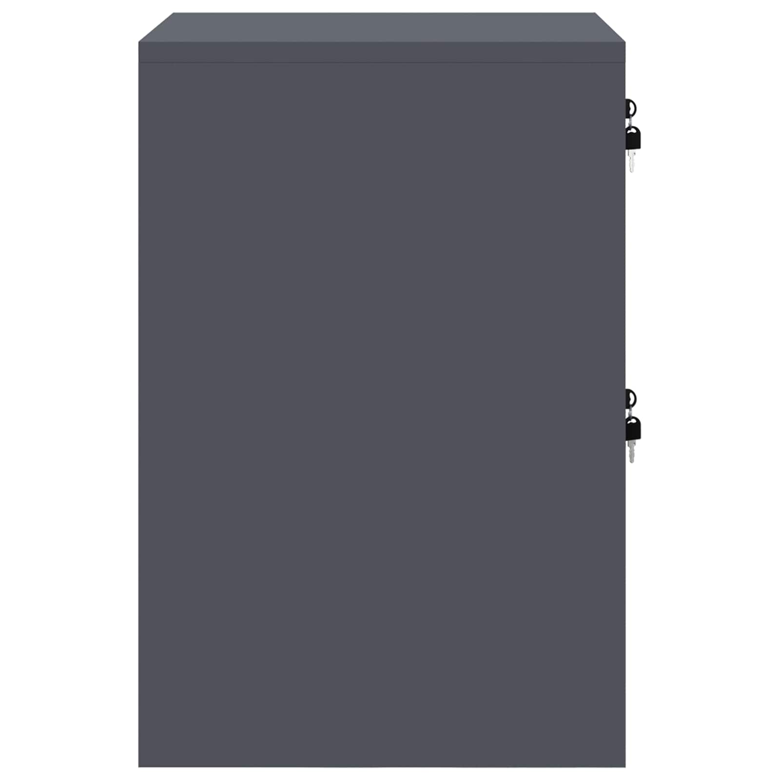 Aktenschrank Anthrazit 44 x 50 x 74,5 cm Kaltgewalzter Stahl