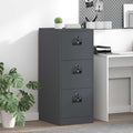 Aktenschrank Anthrazit 44 x 50 x 106,5 cm Kaltgewalzter Stahl