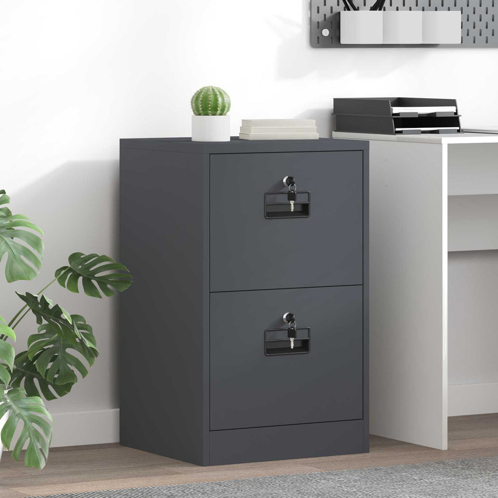 Aktenschrank Anthrazit 45,5 x 42 x 74,5 cm Kaltgewalzter Stahl