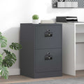 Aktenschrank Anthrazit 45,5 x 42 x 74,5 cm Kaltgewalzter Stahl