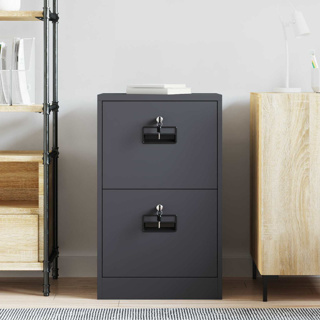 Aktenschrank Anthrazit 45,5 x 42 x 74,5 cm Kaltgewalzter Stahl