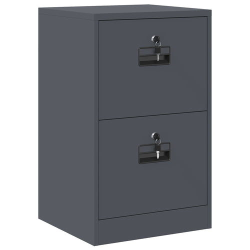 Aktenschrank Anthrazit 45,5 x 42 x 74,5 cm Kaltgewalzter Stahl