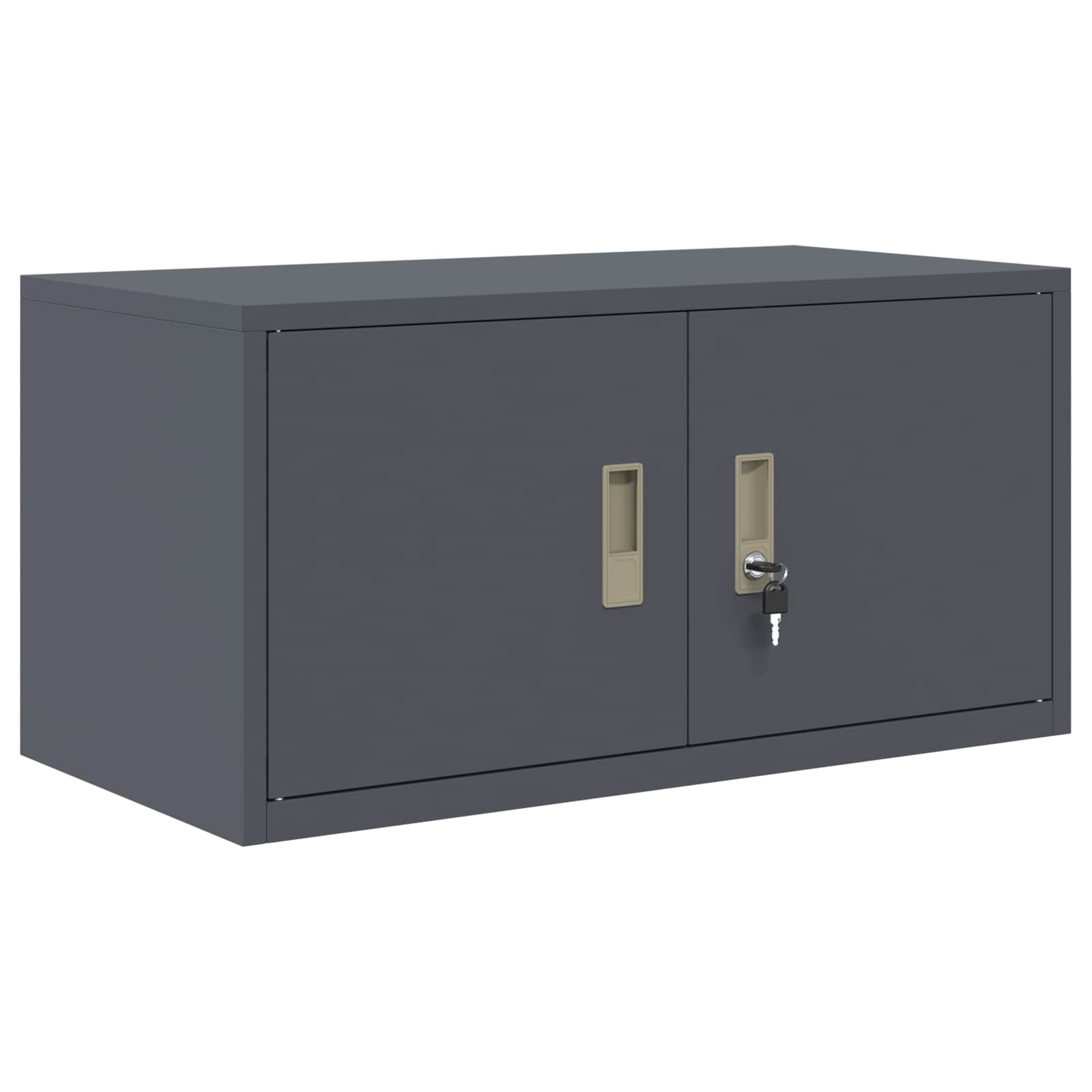 Aufbewahrungsschrank Anthrazit 80 x 40 x 40 cm Stahl