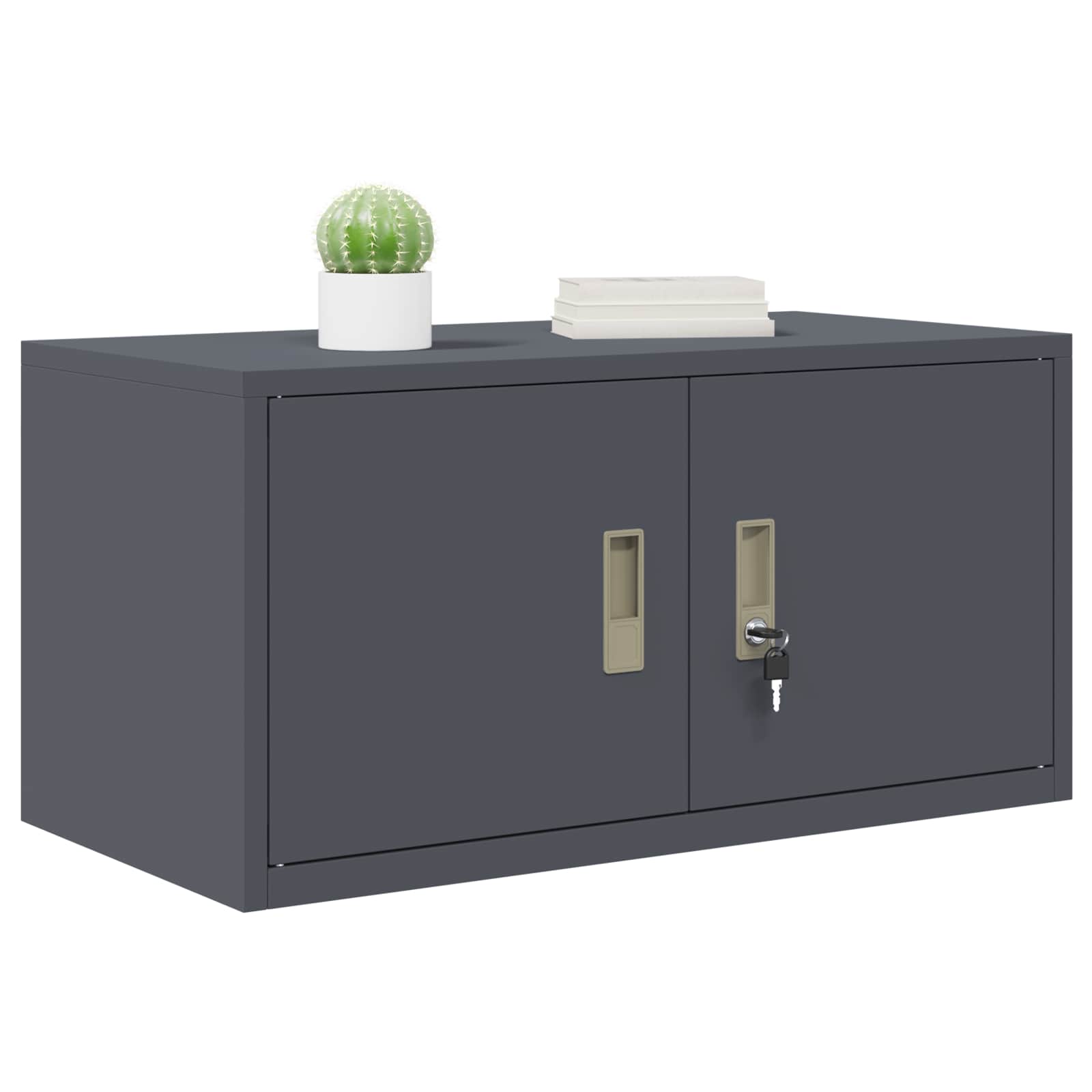 Aufbewahrungsschrank Anthrazit 80 x 40 x 40 cm Stahl