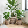 Blumentopfkorb mit Speicher 3 Stk. Natürliches Grau Kubu Rattan