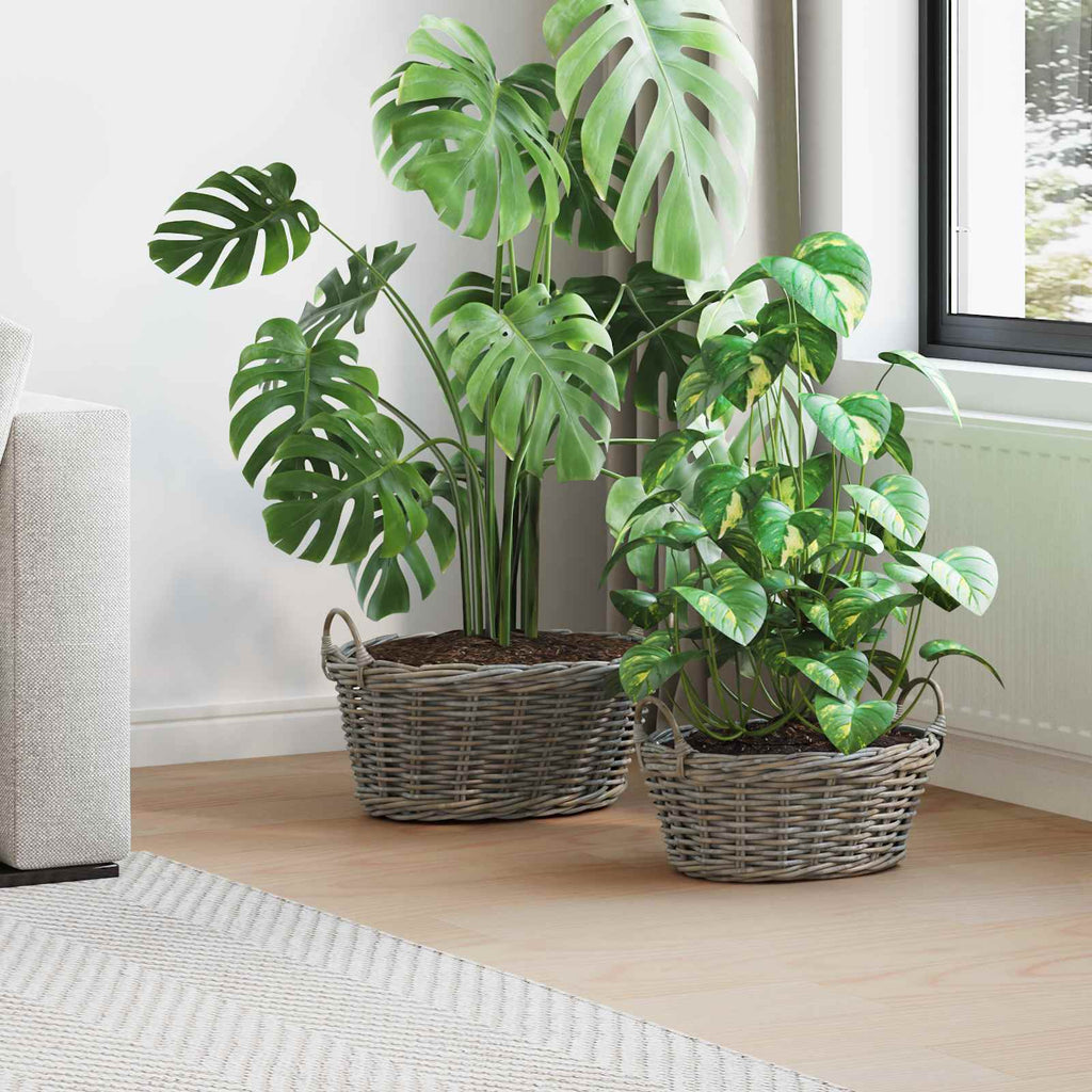 Blumentopfkorb mit Speicher 2 pcs Grau Lacak Rattan