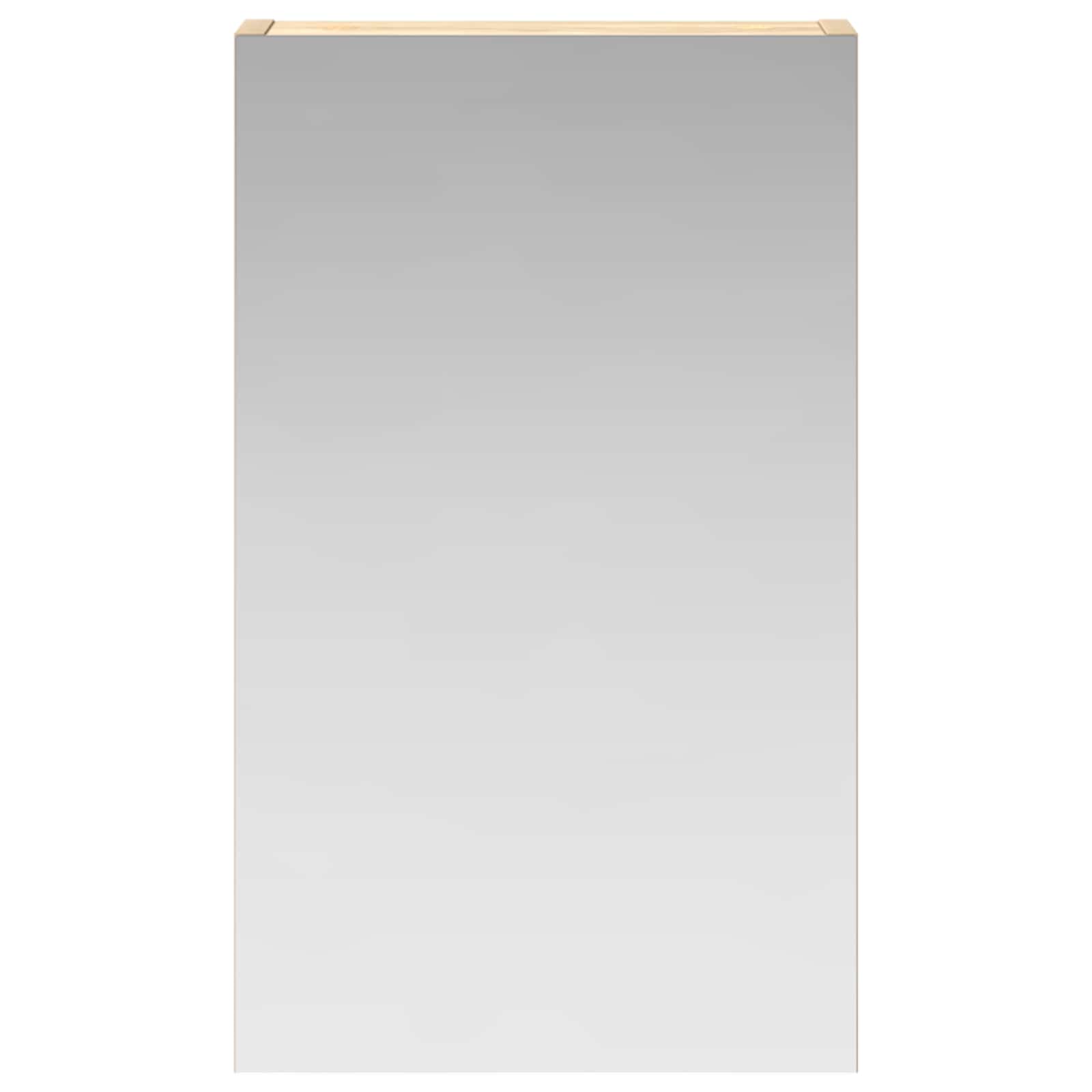 Badezimmerspiegelschrank mit Tür Sonoma-Eiche 30 x 10,5 x 50 cm