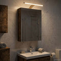 Badezimmerspiegelschrank Geräucherte Eiche 30 x 10,5 x 50 cm