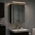 Badezimmerspiegelschrank Schwarz Eichen-Optik 50 x 14,5 x 70 cm