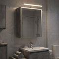 Badezimmerspiegelschrank mit Regal Beton Grau 43 x 16 x 62.5 cm