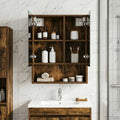Badezimmerspiegelschrank Geräucherte Eiche 50 x 14,5 x 70 cm