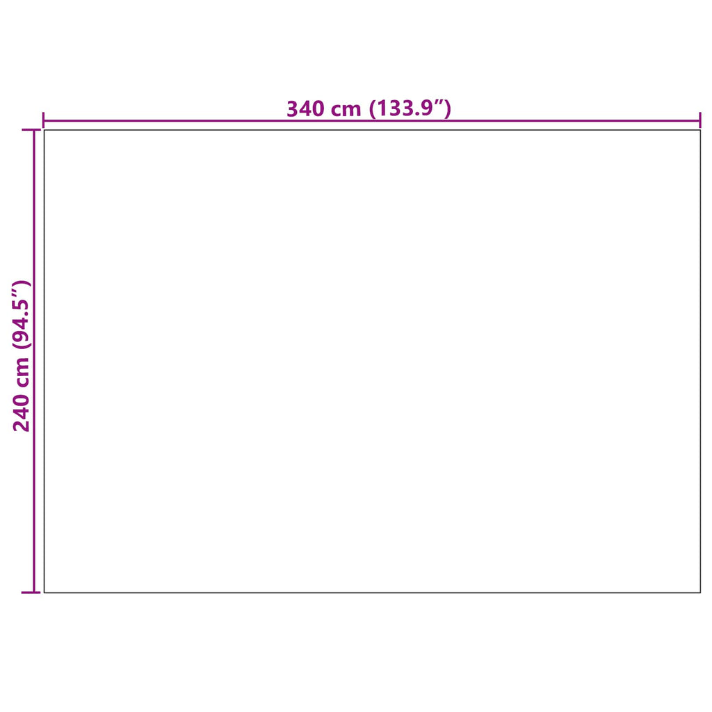 Bereichsteppiche PALMERAS Grün 240 x 340 cm Polyester