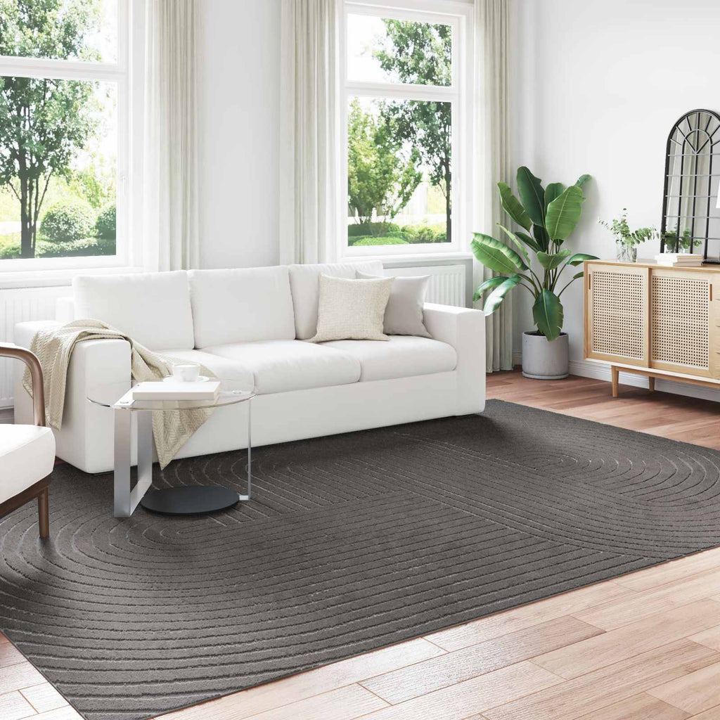 Bereichsteppiche PALMERAS Anthrazit 340 x 240 cm Polyester
