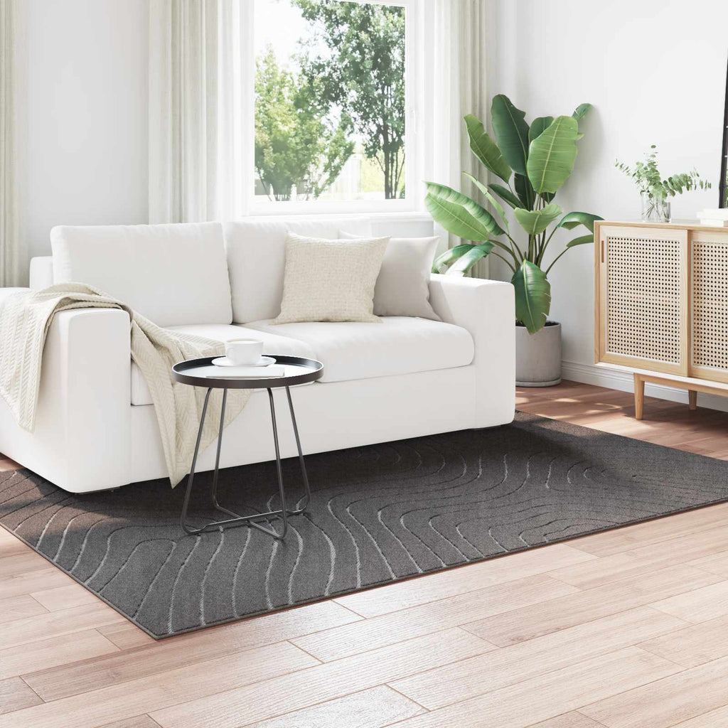 Bereichsteppiche PALMERAS Anthrazit 200 x 140 cm Polyester