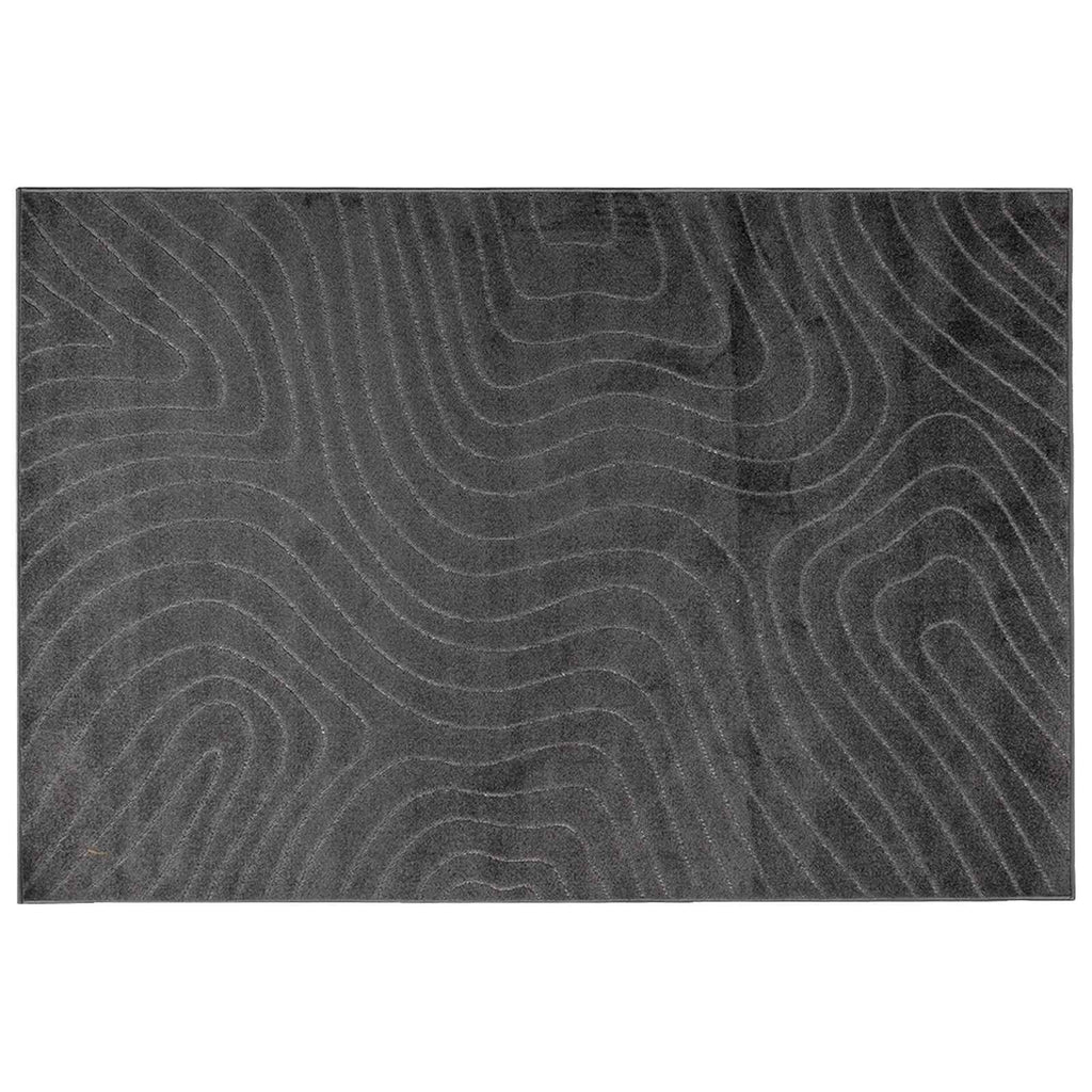 Bereichsteppiche PALMERAS Anthrazit 230 x 160 cm Polyester