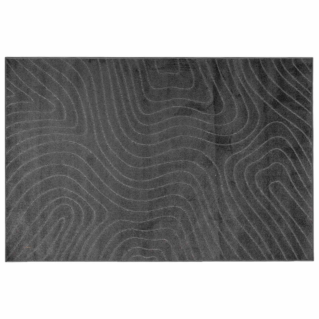 Bereichsteppiche PALMERAS Anthrazit 280 x 200 cm Polyester