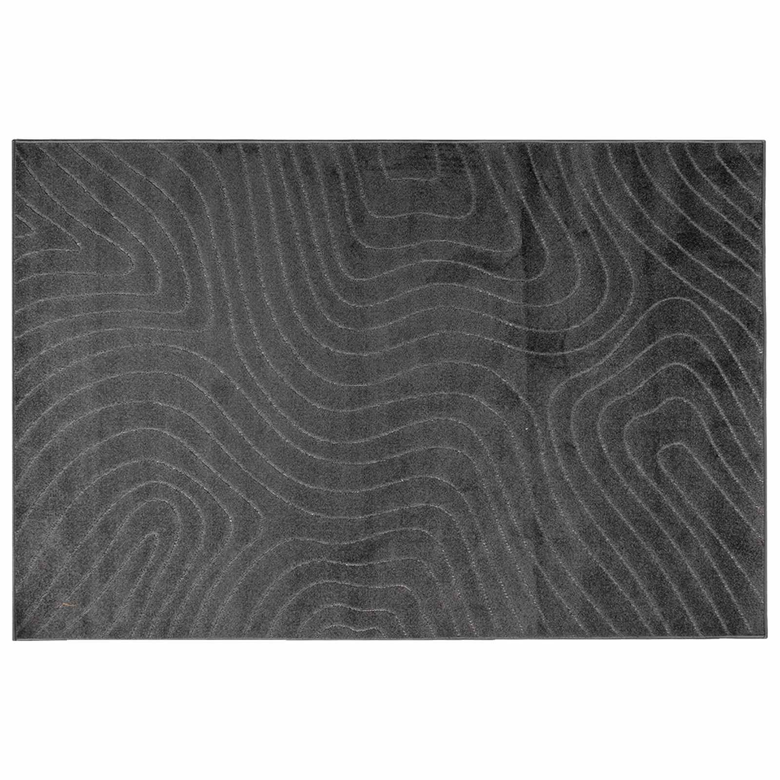 Bereichsteppiche PALMERAS Anthrazit 280 x 200 cm Polyester