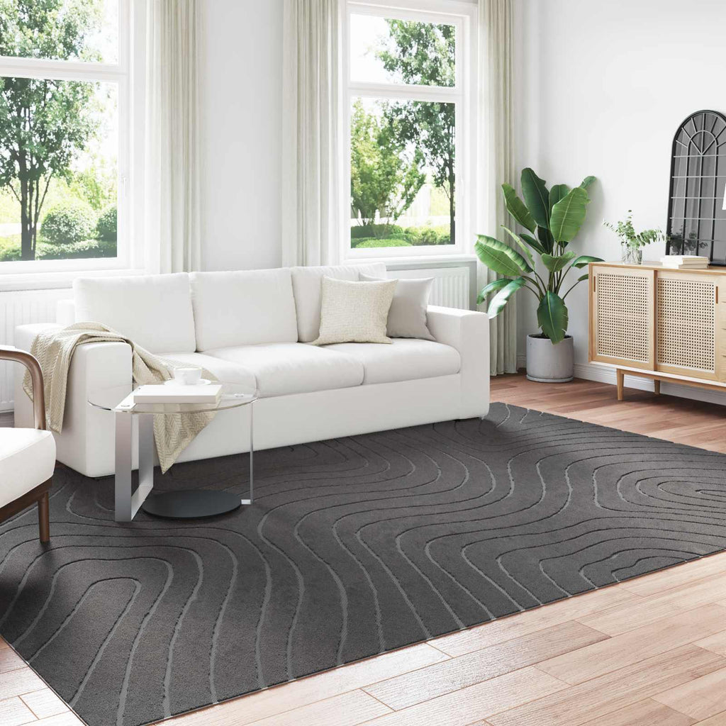 Bereichsteppiche PALMERAS Anthrazit 340 x 240 cm Polyester