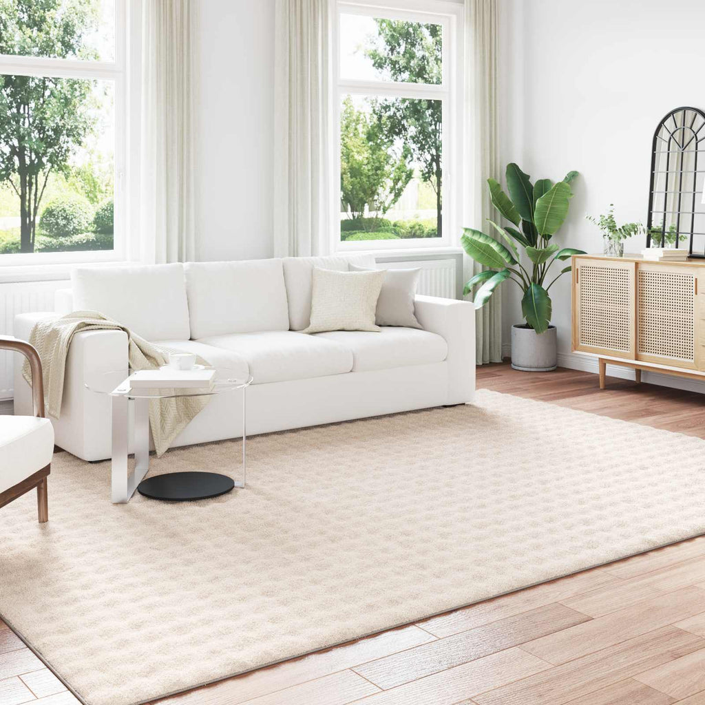 Bereichsteppiche SIROLO Beige 340 x 240 cm Polyester