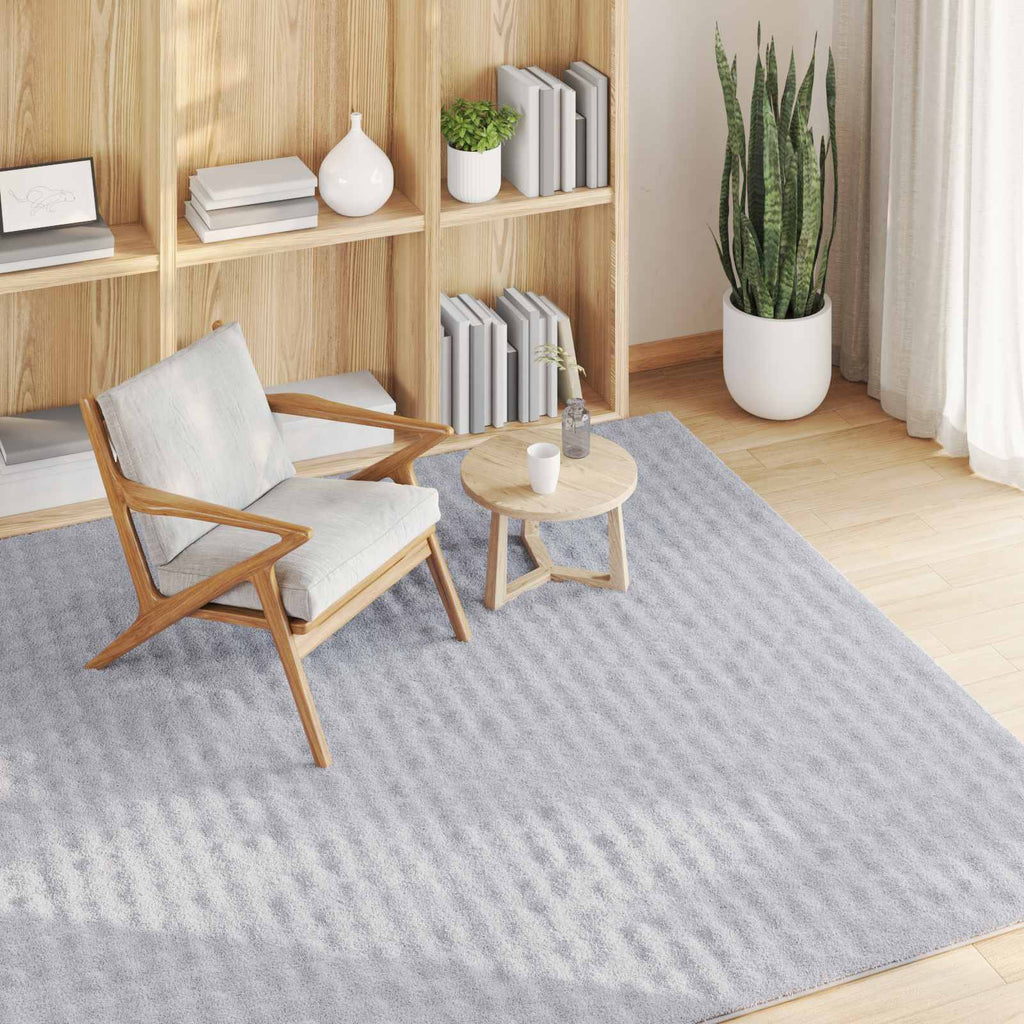 Bereichsteppiche Quadratisch SIROLO Grau 120 x 120 cm Polyester
