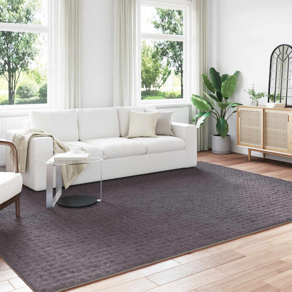 Bereichsteppiche SIROLO Anthrazit 280 x 200 cm Polyester