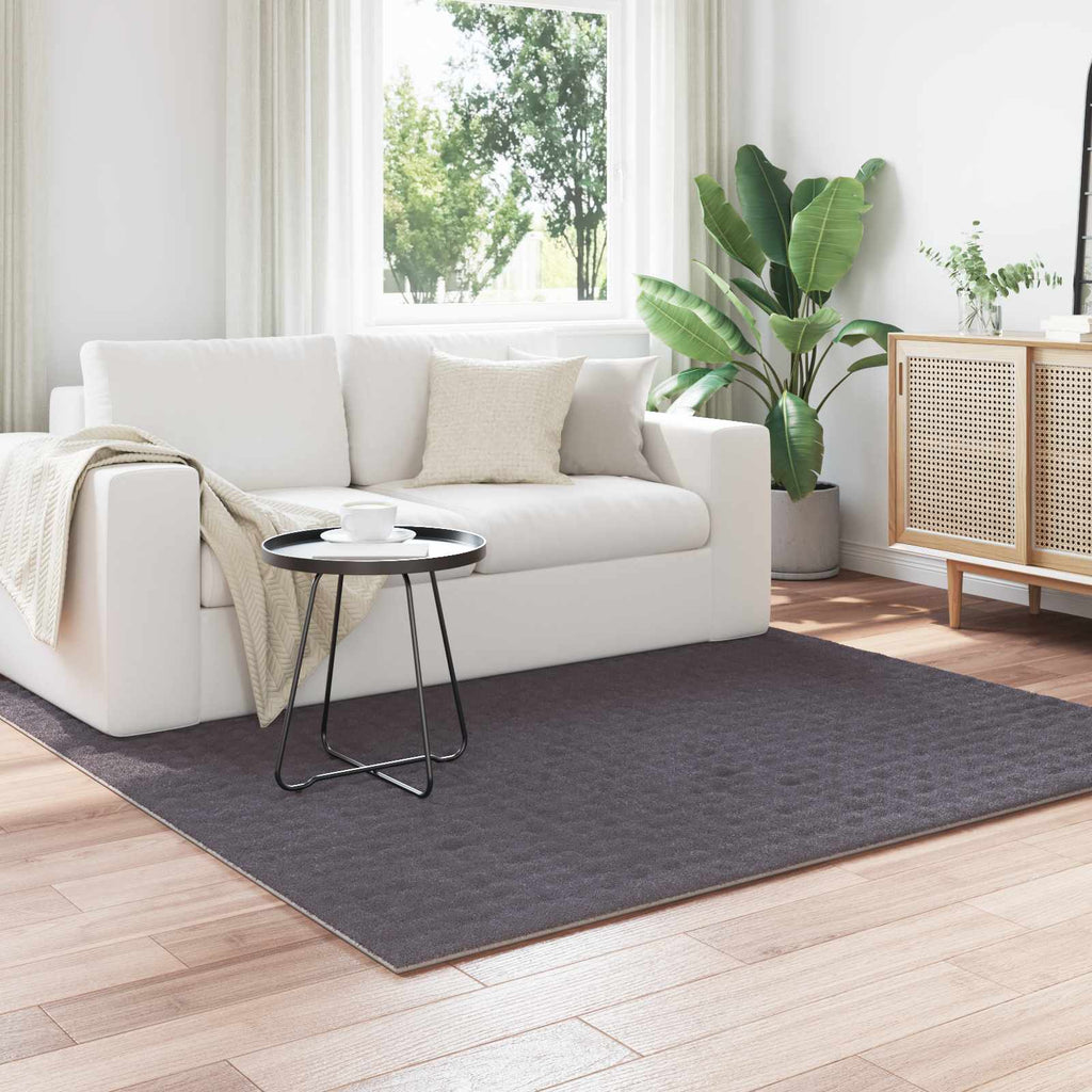 Bereichsteppiche SIROLO Anthrazit 120 x 120 cm Polyester