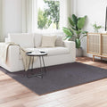 Bereichsteppiche SIROLO Anthrazit 120 x 120 cm Polyester