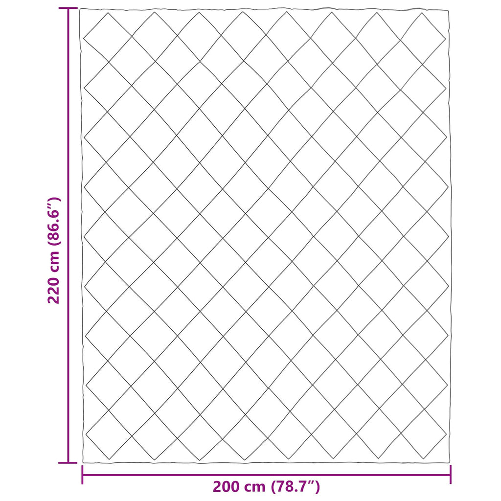 Winterbettdecke Schwarz und Taupe 200 x 220 cm Mikrofaser