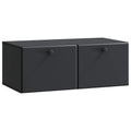 Wandmontierter TV-Schrank 78,5 x 41 x 30 cm Schwarz