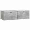 Wandmontierter TV-Schrank 98 x 41 x 30 cm Betongrau