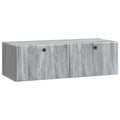 Wandmontierter TV-Schrank 98 x 41 x 30 cm Grau Sonoma