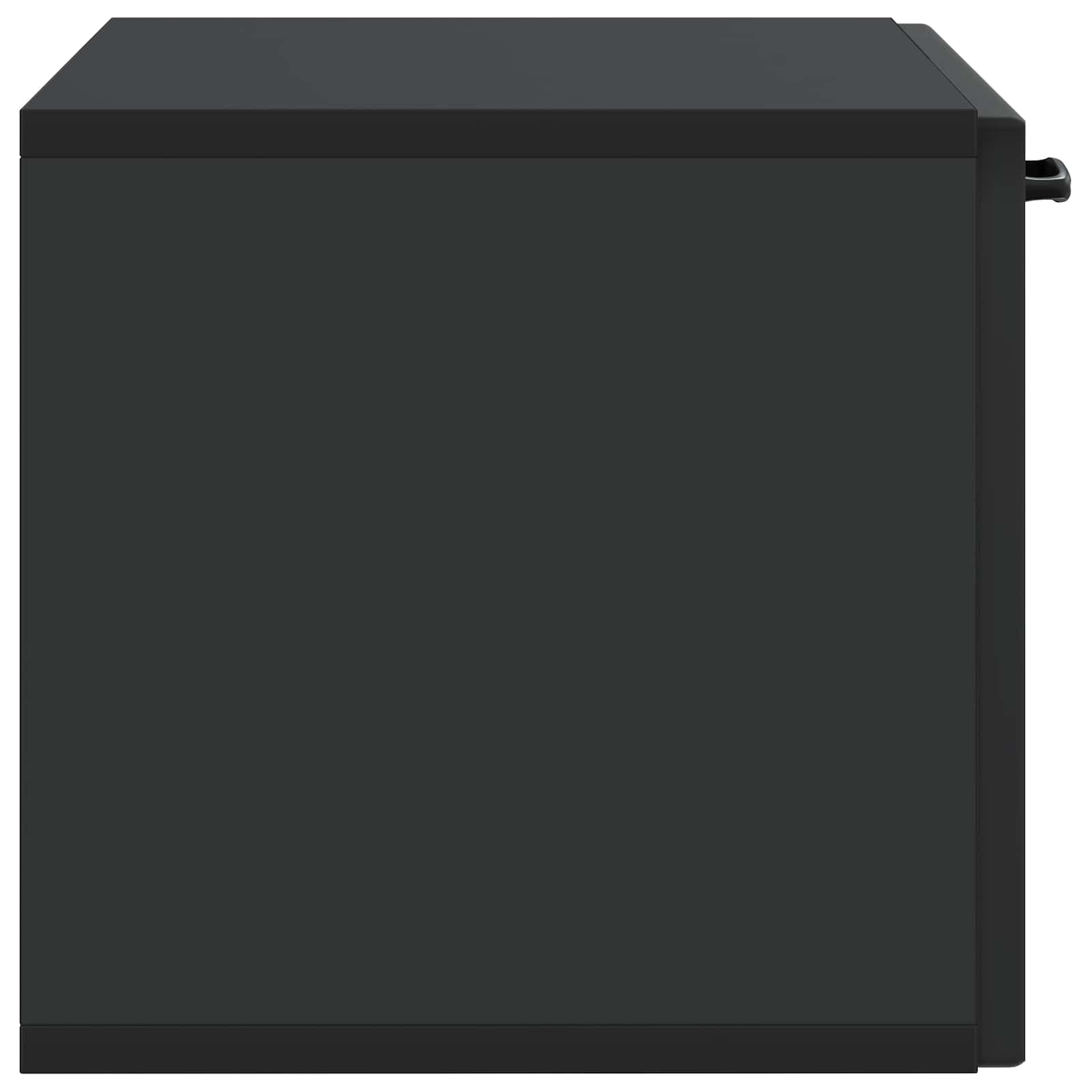 Wandmontierter TV-Schrank Schwarz 59,5 x 31 x 30 cm