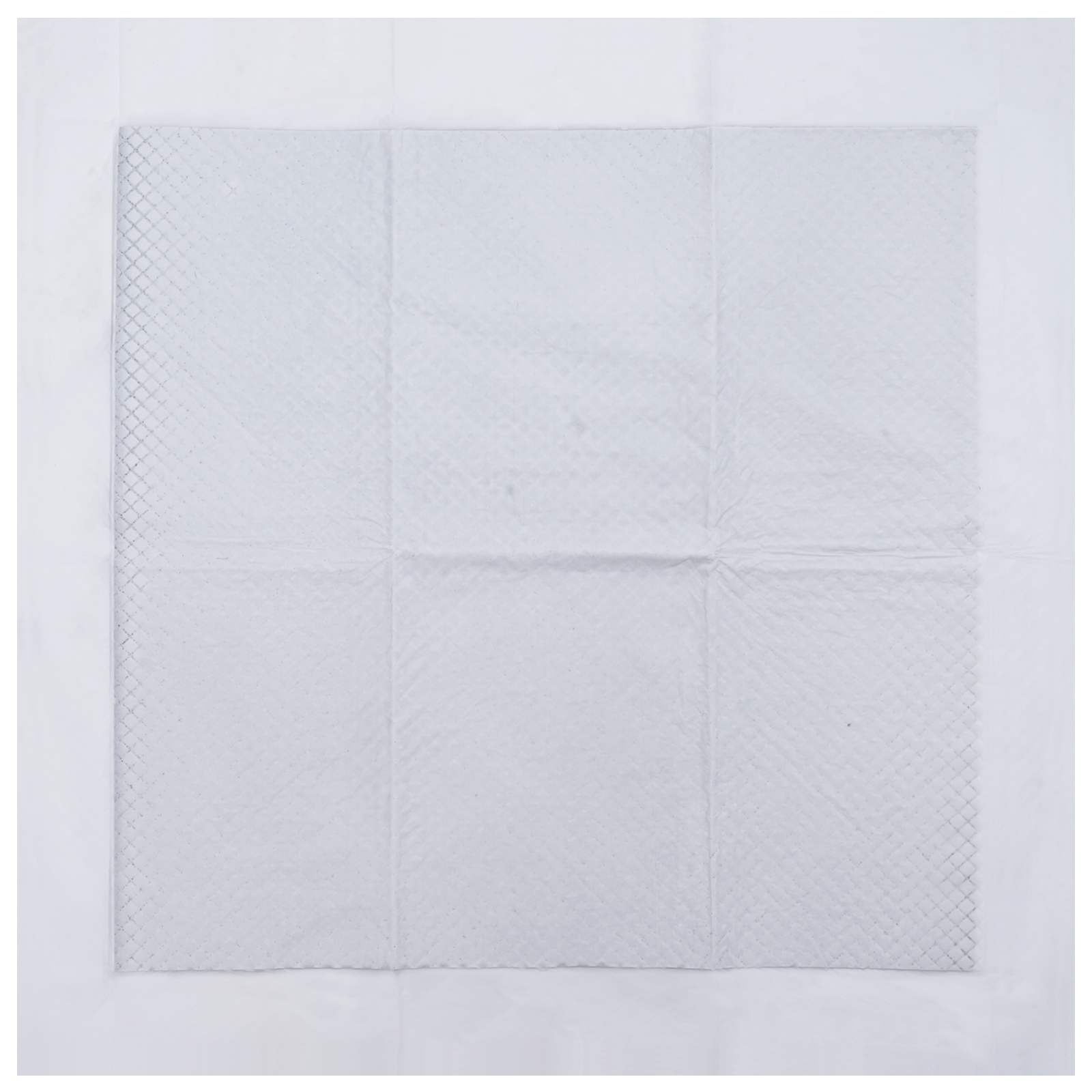 Vliesstoff Haustier Trainingspad 100 pcs 60 x 60 cm Vliesstoff