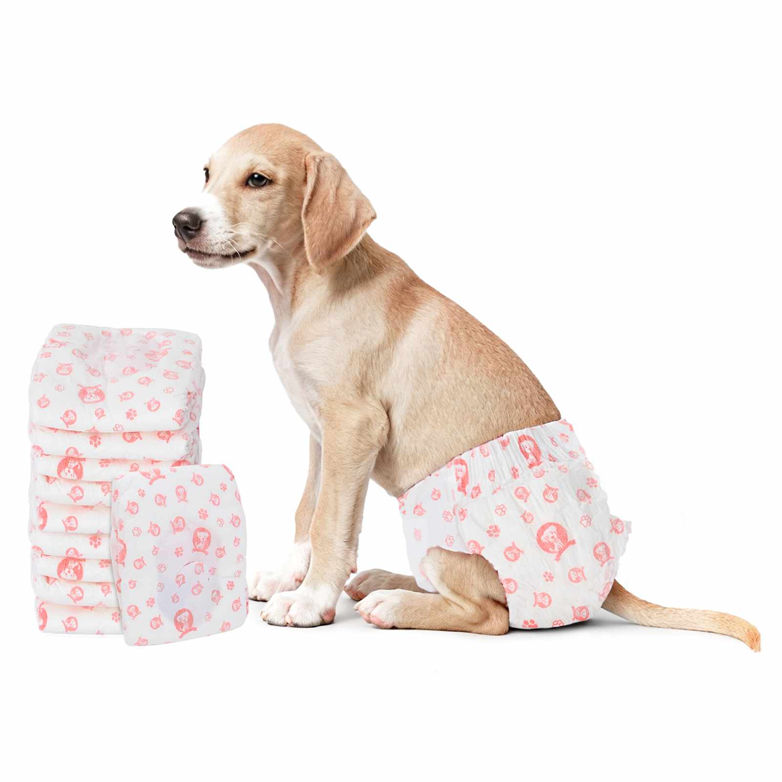 Wegwerf-Hundewindel für Hündinnen 30 pcs Weiß M