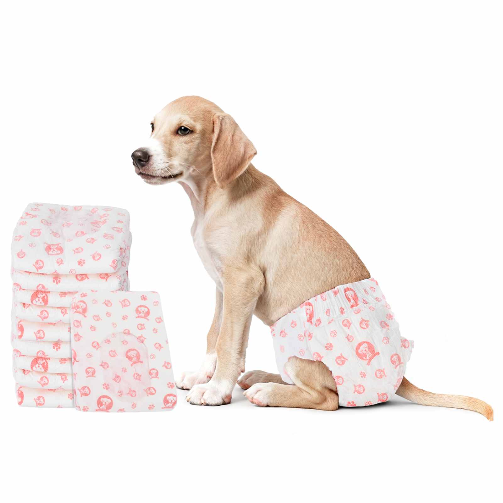 Wegwerf-Hundewindel für Hündinnen 30 pcs Weiß L
