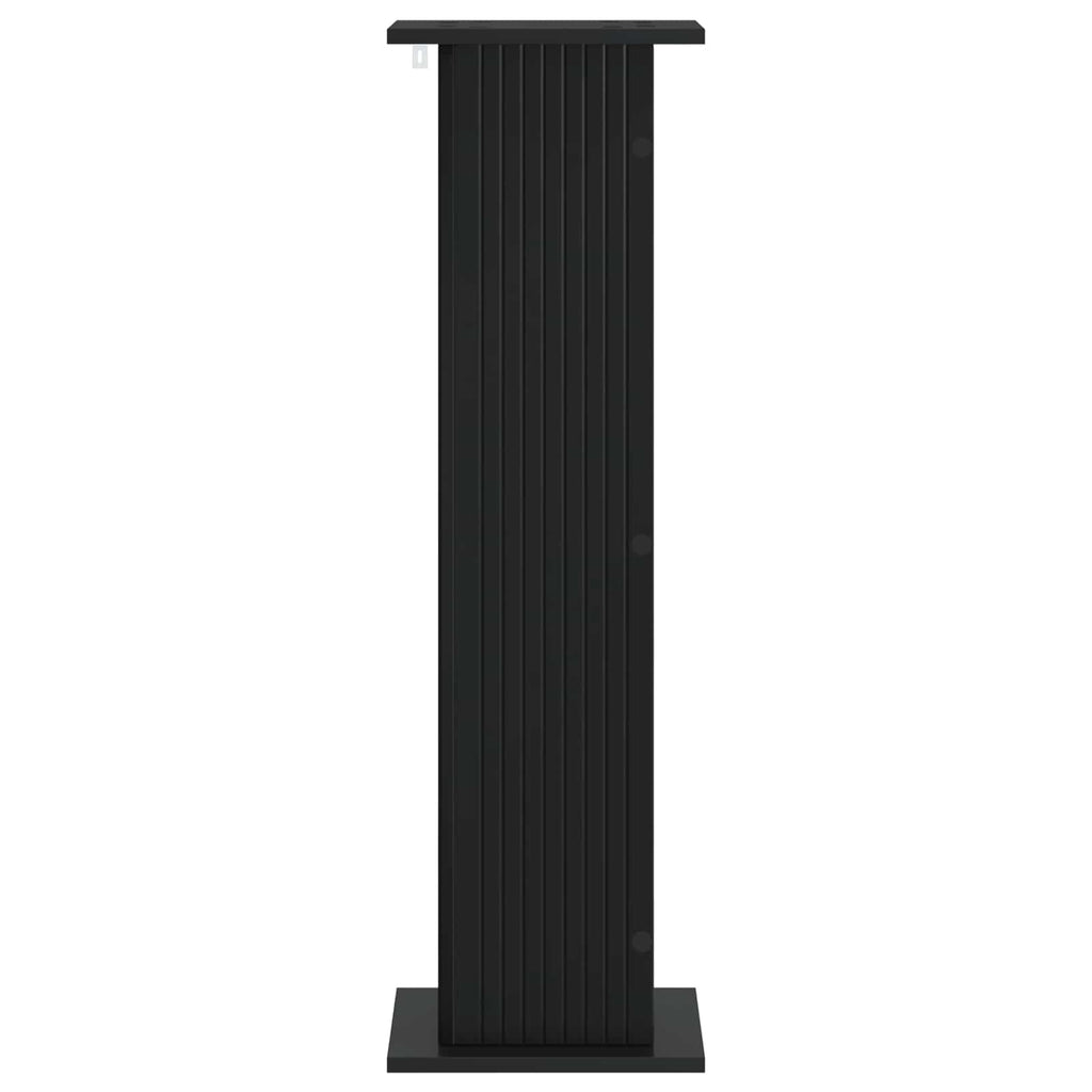 Pflanzenständer 2 pcs Schwarz 30,5 x 30 x 100,5 cm