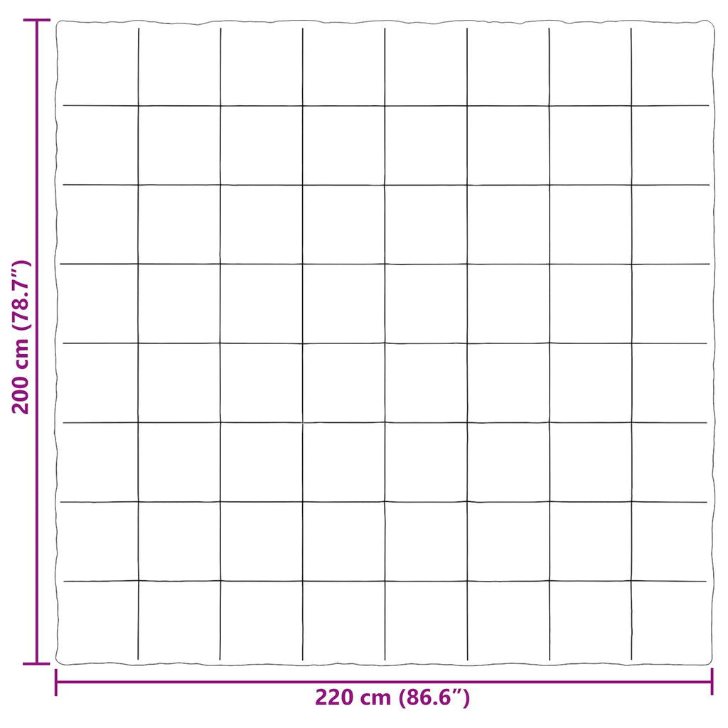 Ganzjahresbettdecke Gepolstert Schwarz 200 x 220 cm Mikrofaser