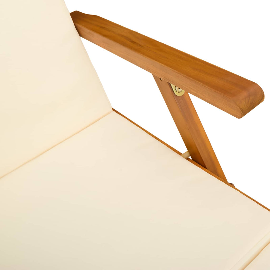Liegestuhl zum Verstellen und Klappen 2 pcs 55 x 146 x 91 cm