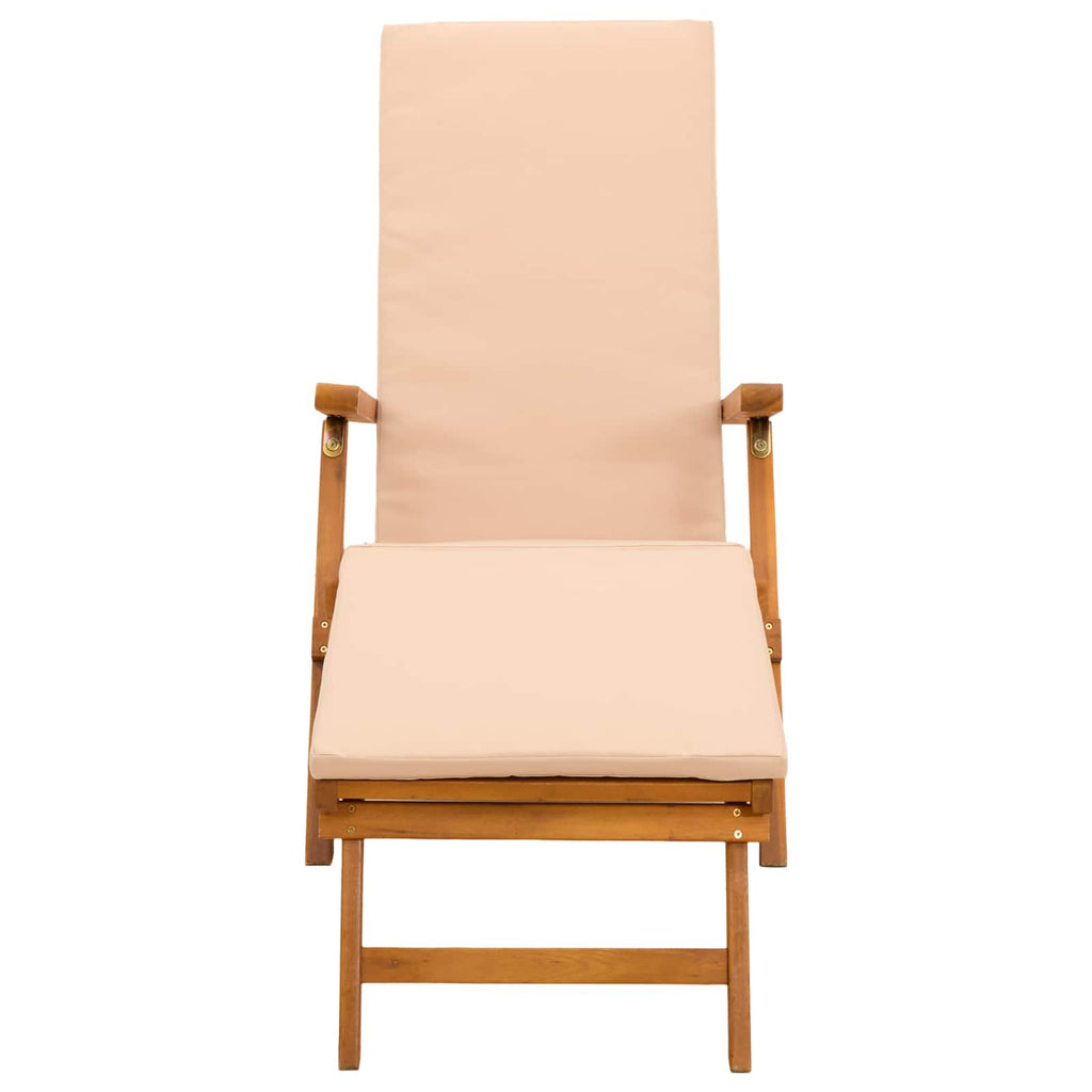 Liegestuhl zum Verstellen und Klappen 2 pcs 55 x 146 x 91 cm