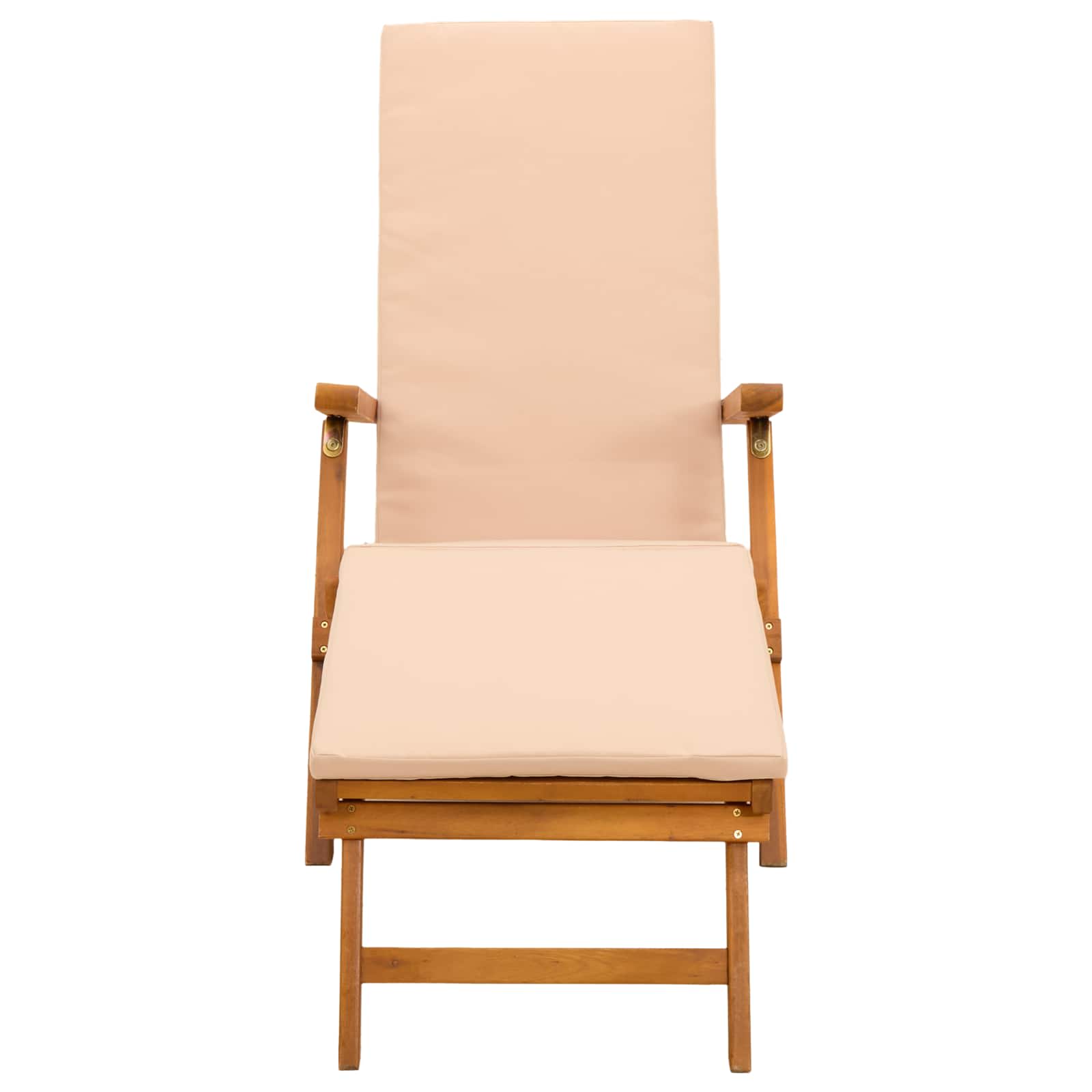 Liegestuhl zum Verstellen und Klappen 2 pcs 55 x 146 x 91 cm